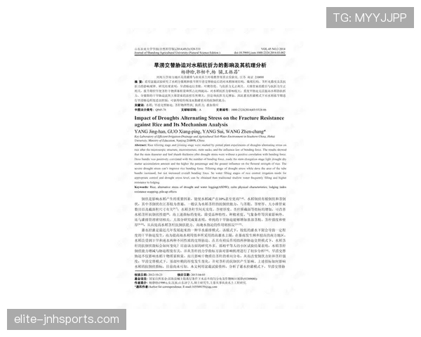 巴尔科拉对抗能力偏弱对其战术适配及发挥的影响分析